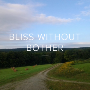 BlissWithoutBother