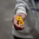 A hand holding a yellow flower extends to you.