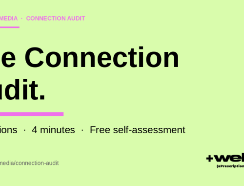 The Connection Audit cover image showing the title 7 questions 4 minutes on a mint background — a free social wellness self-assessment from +wellvyl Media