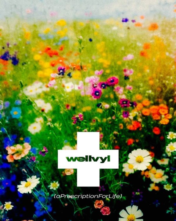 wellvyl