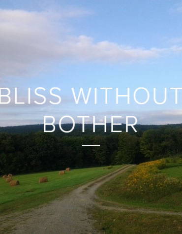 BlissWithoutBother