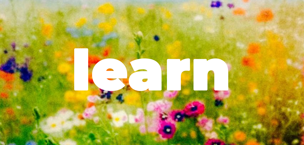 Home Page Learn